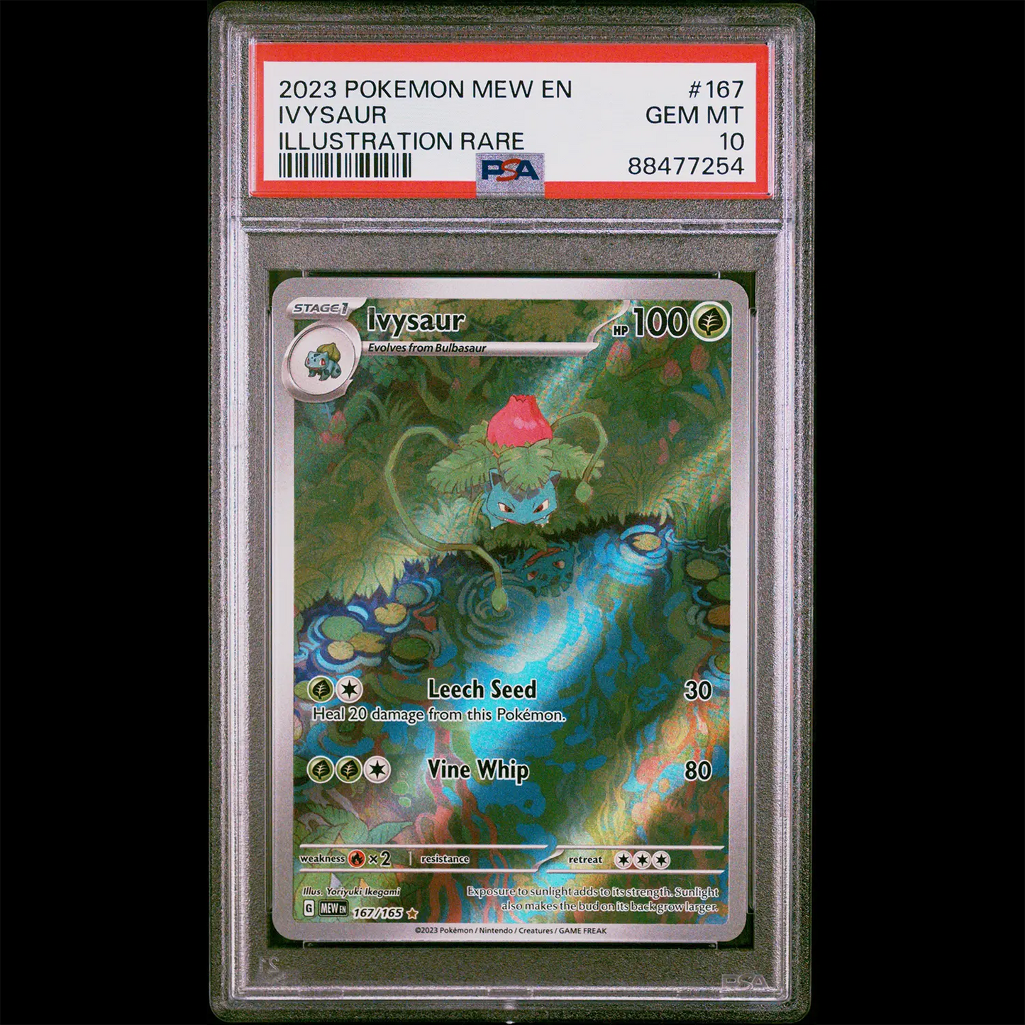 PSA Gem Mint 10 151 Illustration Rare Holo Ivysaur from the Pokemon Trading Card Game. PSA Certification Verification #88477254